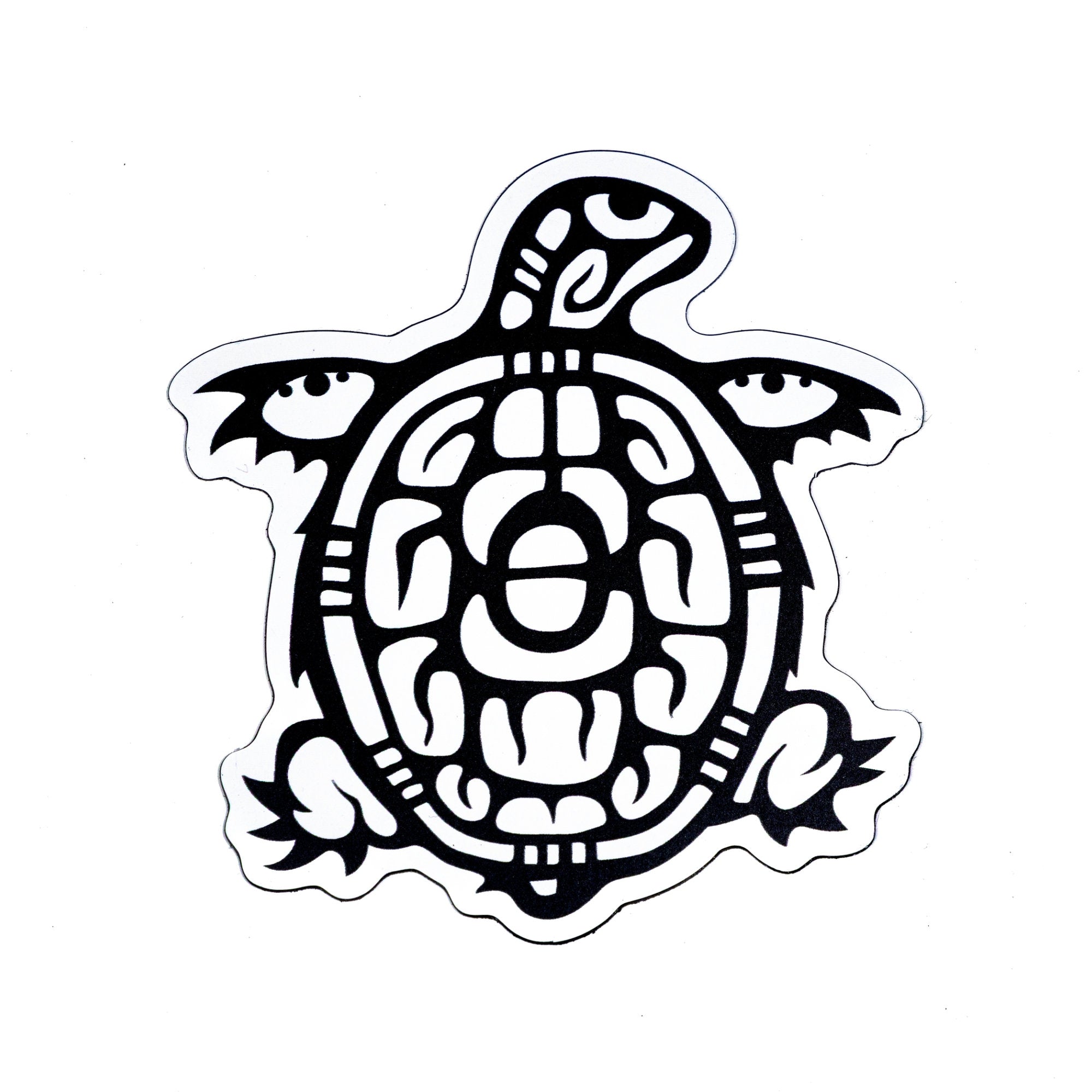Magnet - Truth/Turtle image 0